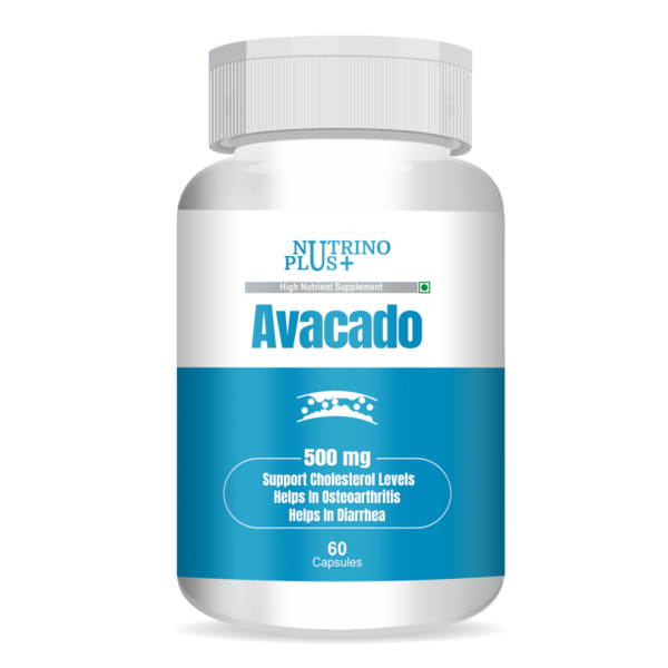 Avocado